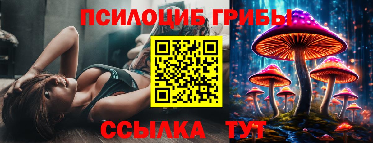 Галлюциногенные грибы прущие грибы Обнинск