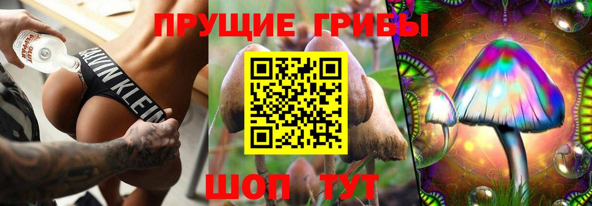 Галлюциногенные грибы ЛСД  Псилоцибиновые грибы Cubensis  где купить наркоту  Вход с VPN  Обнинск 